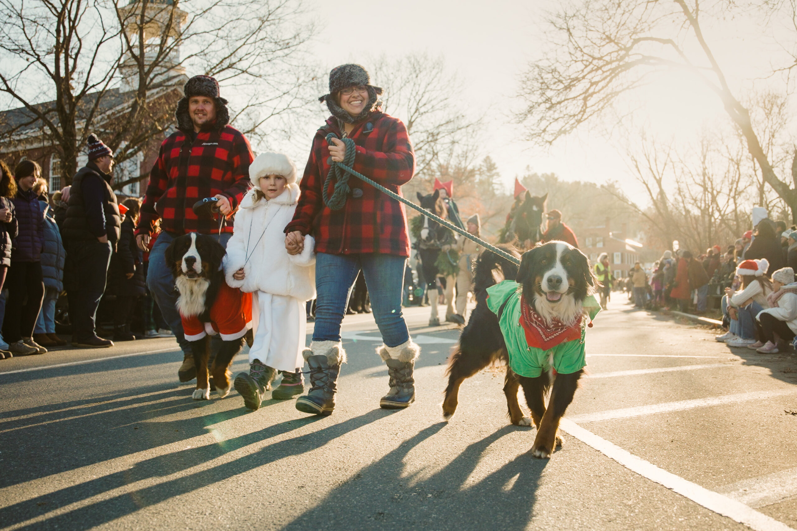 Wassail2022-f6d93aa9da805c518bba25530db3d8b8